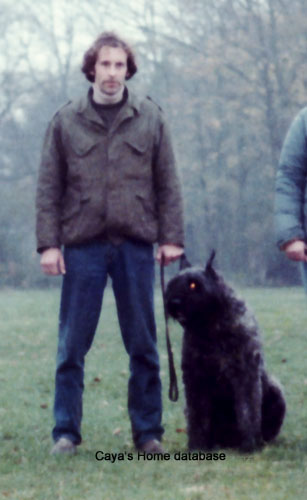 Bouvier BASTON EMETH v CAYA'S HOME